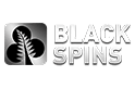 Logo of Black Spins Casino